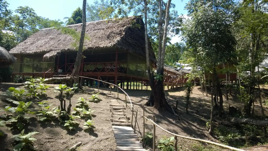Amazon Queen Lodge Mazán Oda fotoğraf