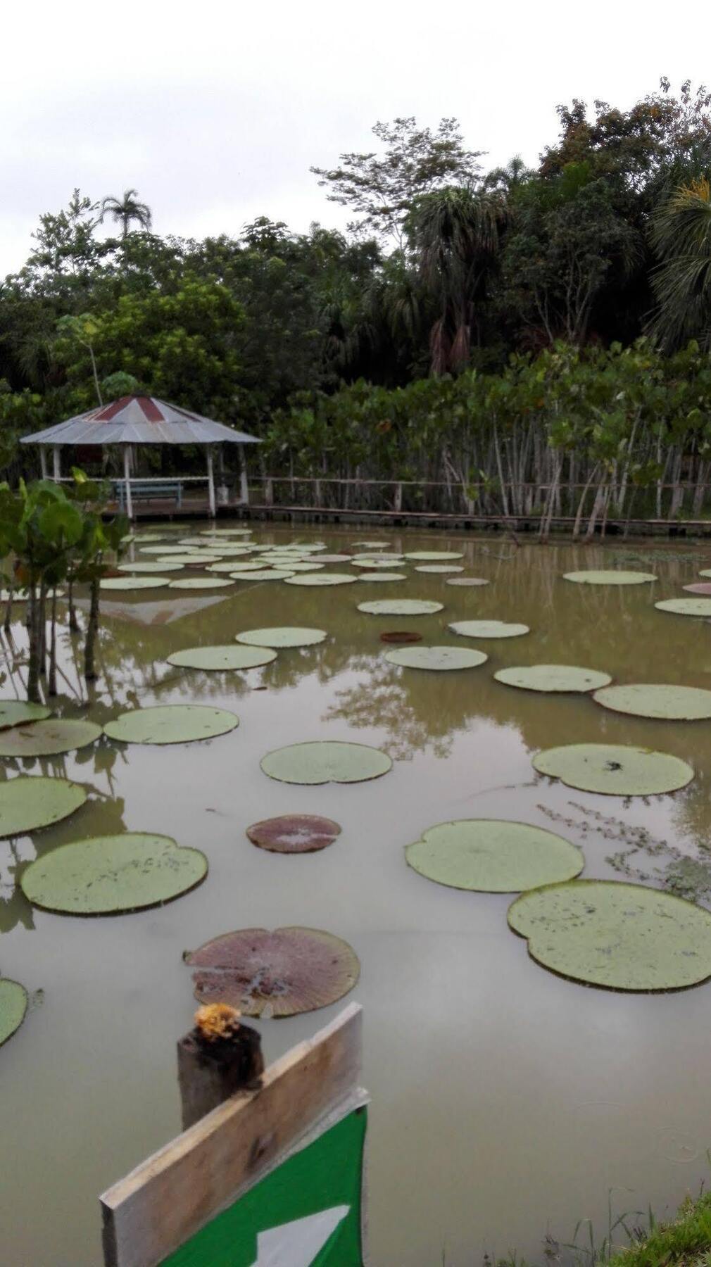 Amazon Queen Lodge Mazán Dış mekan fotoğraf